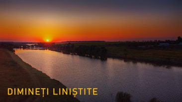 DIMINETI-LINISTITE