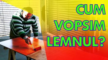 cum-vopsim-lemnul